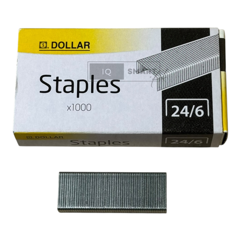 Dollar Staple Pin