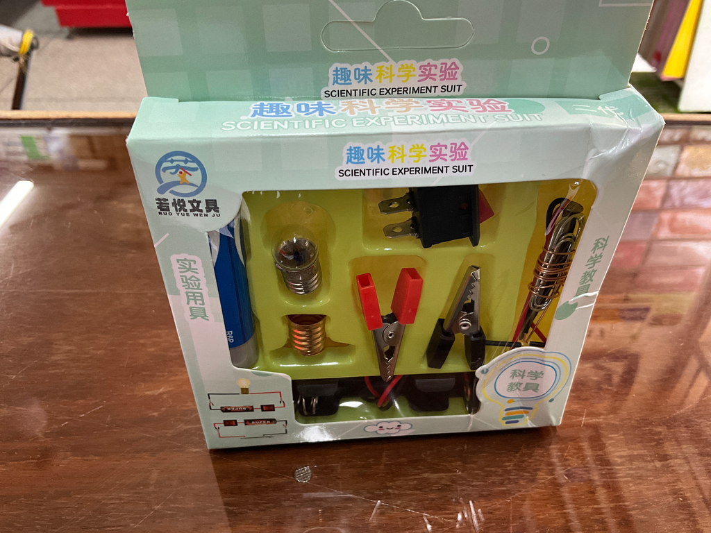 Electric Circuit Bulb Kit